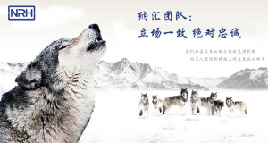丝瓜视频免费在线观看的团队精神