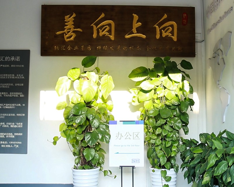 丝瓜视频免费在线观看
